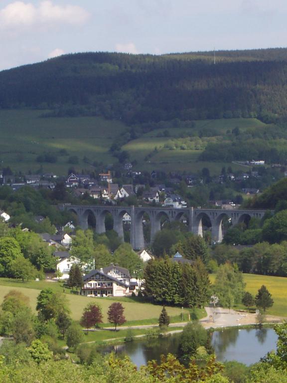 Wietheger'S Ferienwohnungen Gaestehaus Strycktal II Willingen  Exterior foto