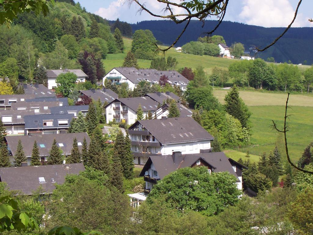 Wietheger'S Ferienwohnungen Gaestehaus Strycktal II Willingen  Exterior foto